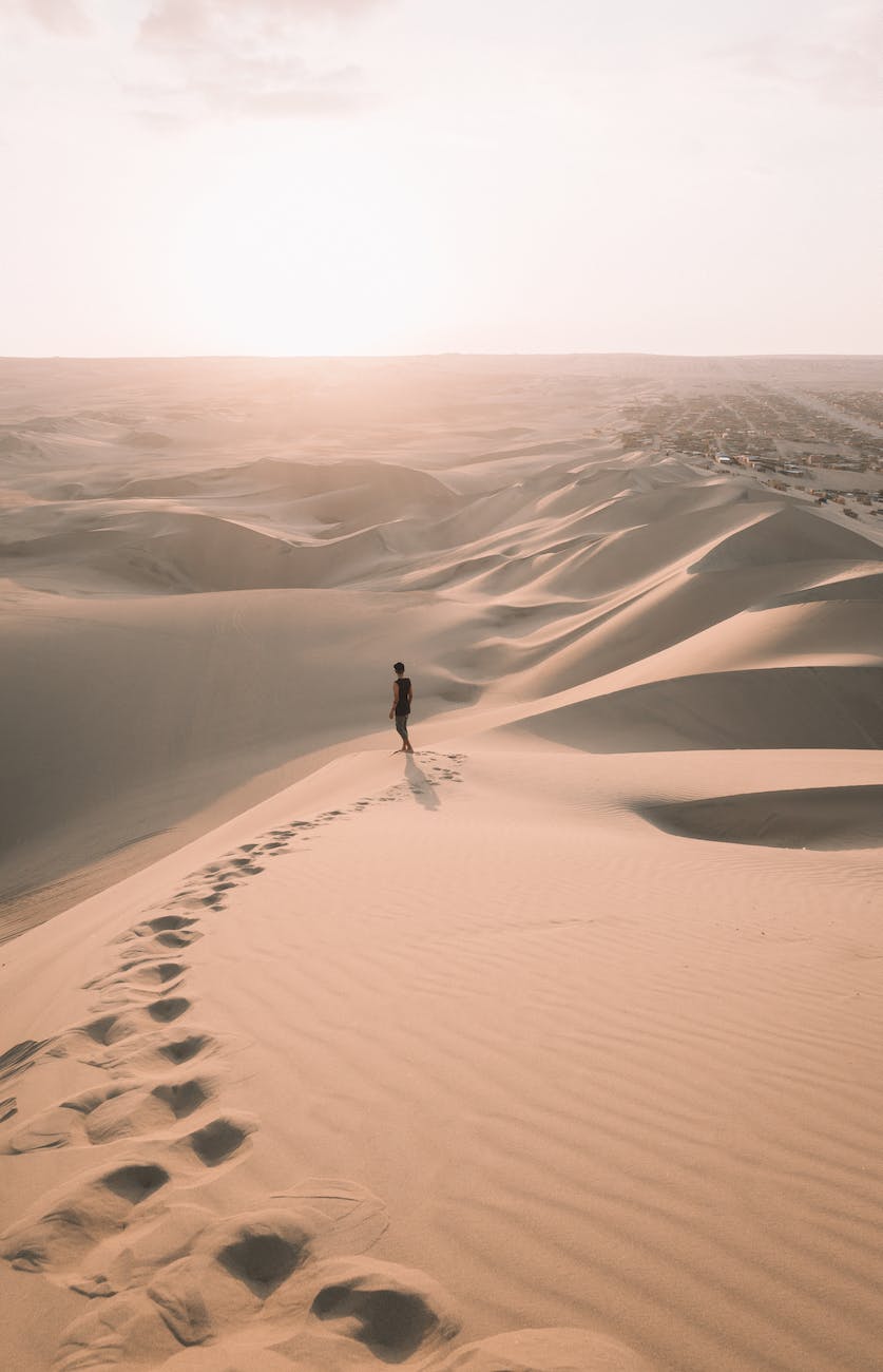 high angle shot of a person walking alone in the desert